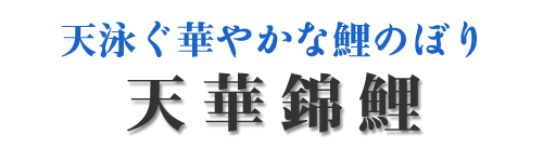 天華錦鯉